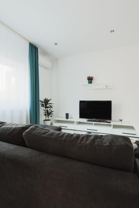 Ambassador Apartment Baia Mare Extérieur photo