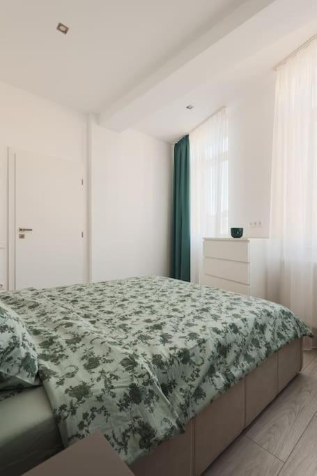 Ambassador Apartment Baia Mare Extérieur photo
